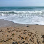 d90be6abec0d82ddee5374d04b619d747e263d42