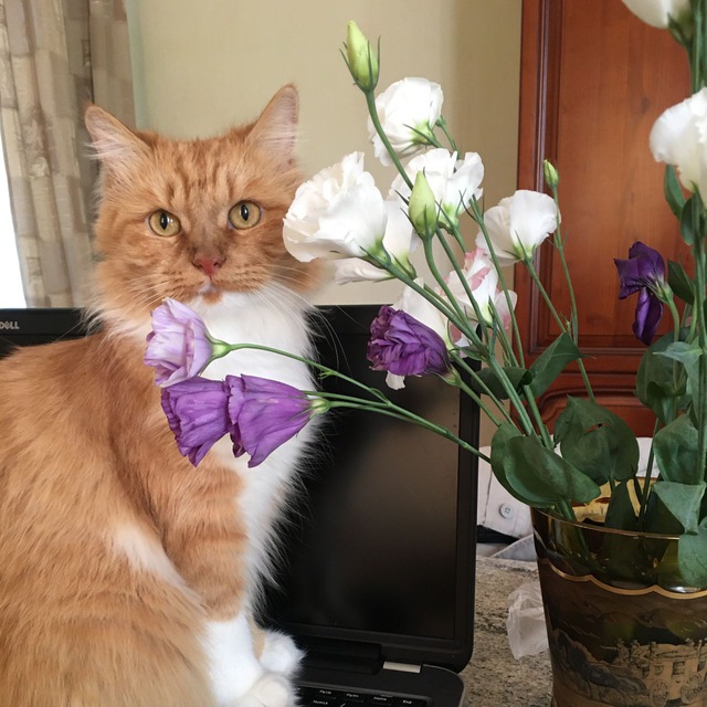 Марина